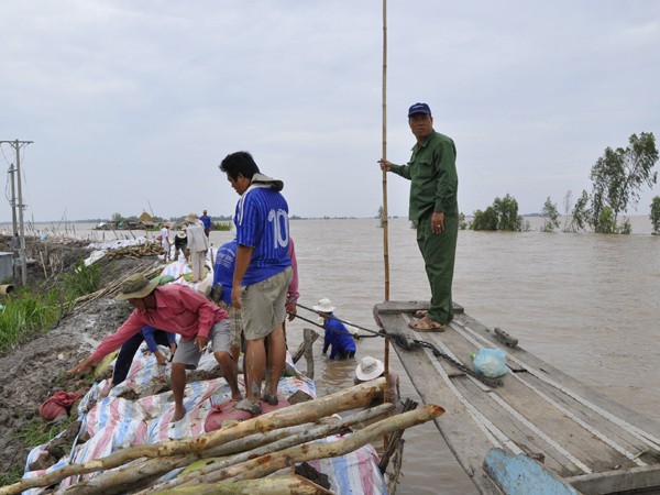 Lũ lụt vẫn tiếp tục uy hiếp các tuyến đê bao. Ảnh chụp sáng 4-10 tại xã Thường Phước II, huyện Hồng Ngự