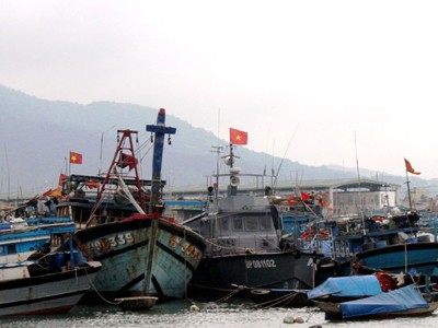 Tàu thuyền về trú tránh tại âu thuyền Thọ Quang - Đà Nẵng