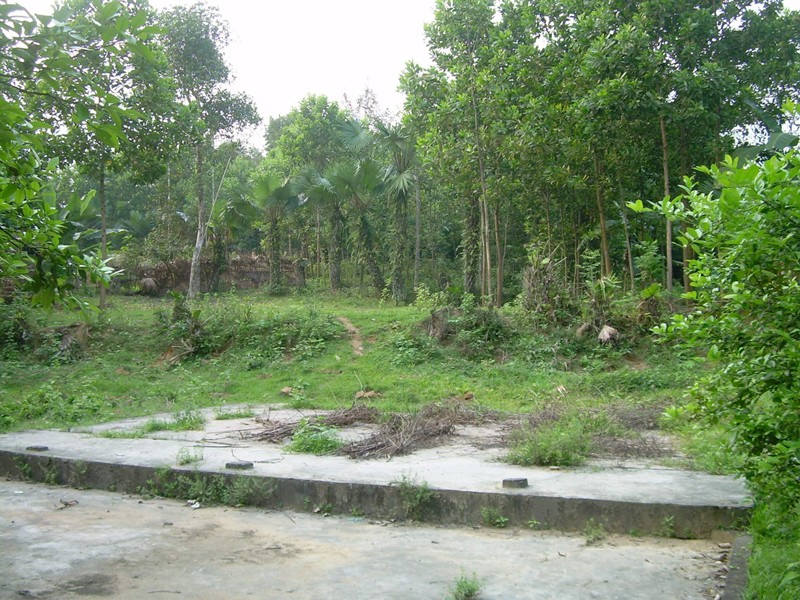 Những nền nhà hoang ở xóm 5, xã Phúc Đồng