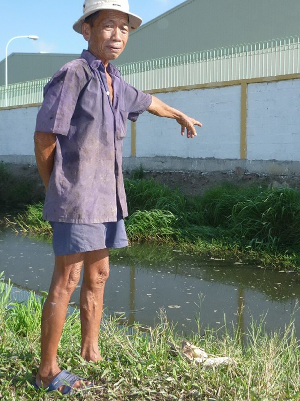 Ông Nguyễn Văn Tám, 75 tuổi, cho rằng dòng nước đen chảy ra từ khu công nghiệp. Ảnh: Đức Thịnh