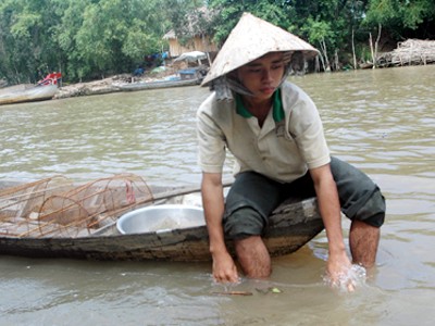 Chàng thủ khoa... giăng câu