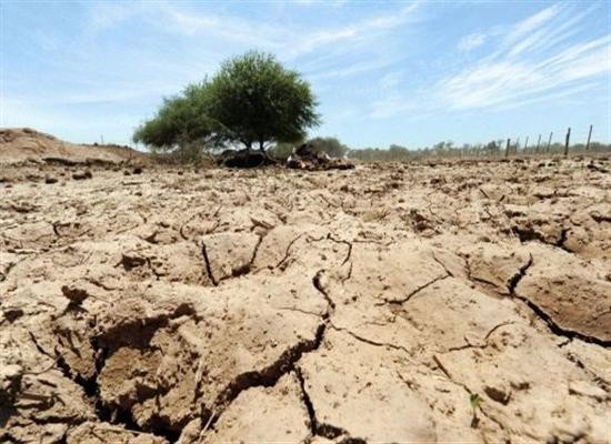 WB: El Nino có thể khiến giá lương thực thế giới tăng mạnh