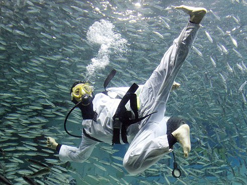 Võ sĩ Taekwondo đánh nhau với cá