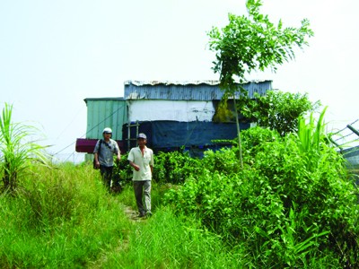KCN Khánh An (U Minh) bỏ hoang vì không sử dụng hết diện tích Ảnh: Tiến Hưng