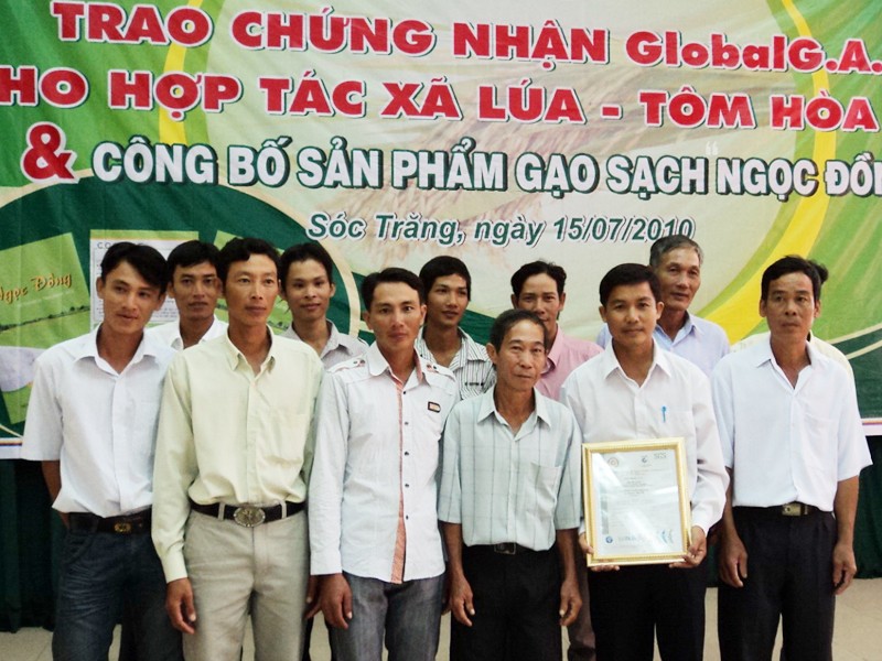 Các xã viên HTX lúa-tôm Hòa Lời đón giấy chứng nhận Global GAP sáng 15-7