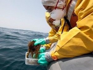 Phát hiện phóng xạ bất thường dưới đáy biển Nhật Bản