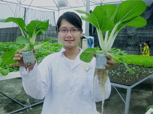Vũ Thanh Quỳnh mong muốn được ra Trường Sa trồng rau xanh cho lính đảo