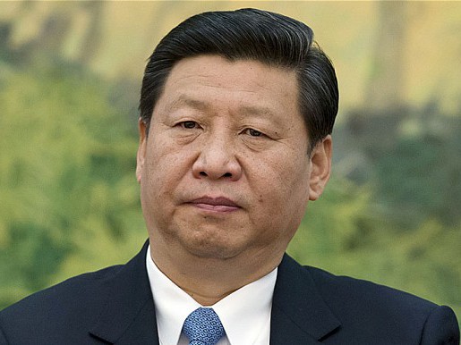 Sau khi ông Tập Cận Bình lên làm Tổng Bí thư Trung Quốc, hàng loạt các cải cách được thực hiện nhằm lấy lại lòng tin trong dân Trung Quốc