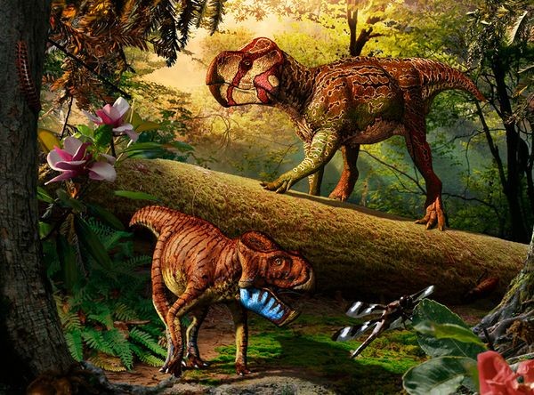 Phát hiện hóa thạch khủng long có sừng ‘siêu tí hon’
