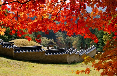 Cơ hội du lịch miễn phí Hàn Quốc mùa lá đỏ