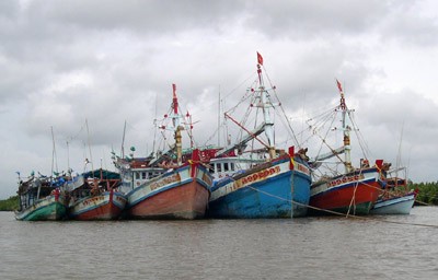 Quảng Ngãi: Hỗ trợ hệ thống xử lý thông tin cho 300 tàu cá