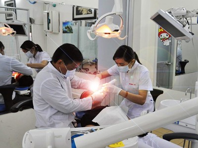 Lương y Nguyễn Đức Nghĩa giới thiệu cây lấu, một dược liệu quý của Việt Nam dùng điều trị bệnh về răng Ảnh: T.N.A
