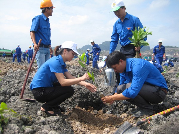 Đoàn viên thanh niên Cty Than Núi Béo (Quảng Ninh) trồng cây xanh trên bãi thải khai trường Ảnh: T.D