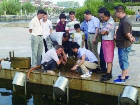 Rơi xuống hồ, nam sinh chết vì điện giật