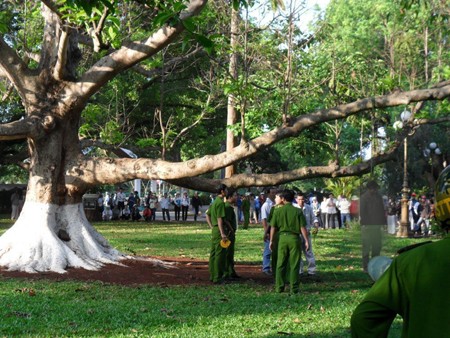 Treo cổ tự tử trong khuôn viên bảo tàng