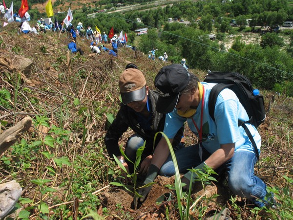 Học sinh Huế và tình nguyện viên Nhật Bản trồng rừng giao lưu đợt hai. Ảnh: Thanh Tùng