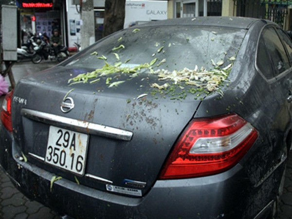 Nắp ca pô của chiếc xe vẫn dính đầy phở và rau thơm
