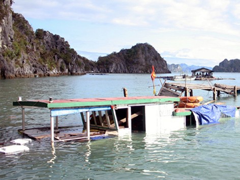 Mất bạc tỷ do bão Haiyan