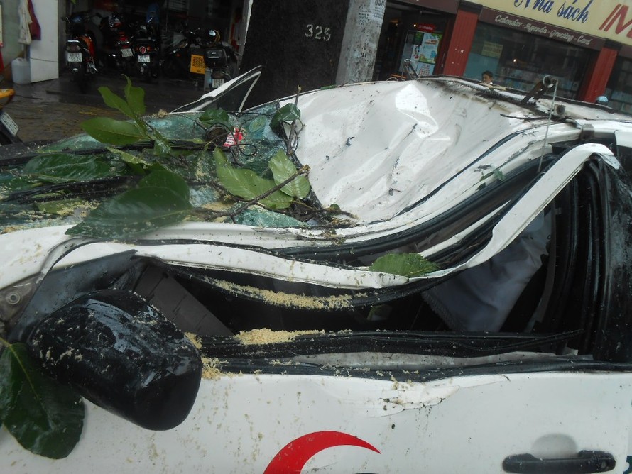 Cành cây cổ thụ rơi trúng taxi, 4 người thoát chết