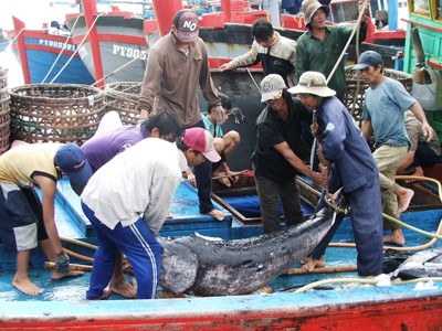 Hỗ trợ ngư dân phát triển nghề câu cá ngừ