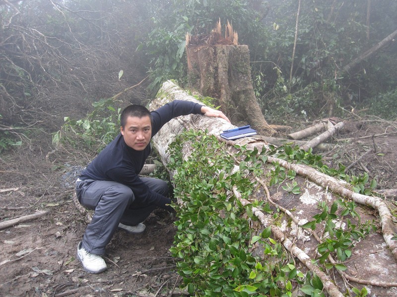 Rừng đầu nguồn biên giới Việt - Lào bị tàn phá