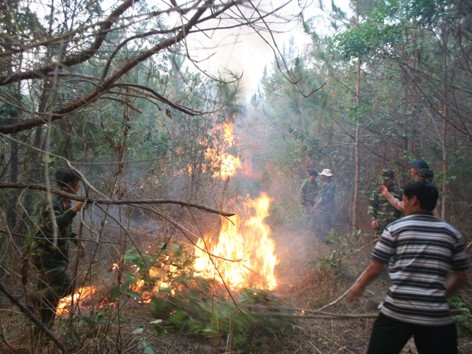 Tiếp tục xảy ra cháy rừng ở Chư Pah