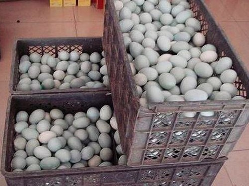 Đến lượt trứng vịt muối của Trung Quốc chứa chất gây ung thư. Ảnh: china.org.cn