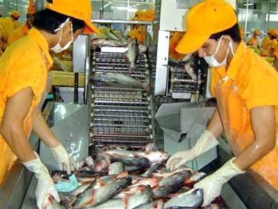 Cá tra Việt Nam ra khỏi danh sách đỏ của WWF tại châu Âu