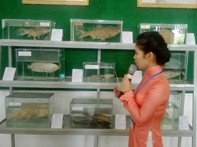 Kỳ thú bảo tàng thủy sản sông Đồng Nai