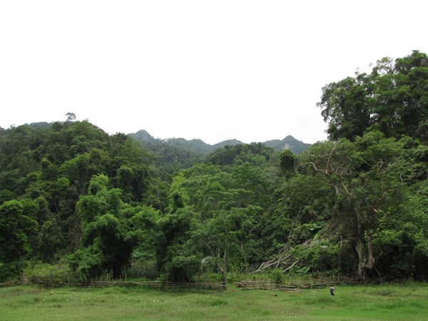 Bộ Công an vào cuộc vụ phá rừng ở VQG Ba Bể