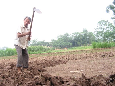 Không nên để người nông dân “tự suy nghĩ trên mảnh ruộng của mình”