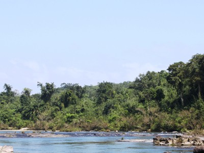 Khu “rừng ma” của bản Pa Roi nằm sát bên dòng sông Se Pon