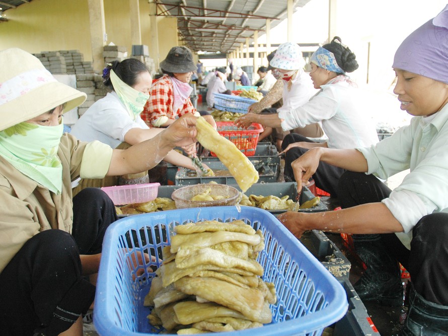 Một dây chuyền sản xuất rau củ quả đóng lọ xuất khẩu của doanh nghiệp tư nhân ở tỉnh Hải Dương Ảnh: Hồng Vĩnh