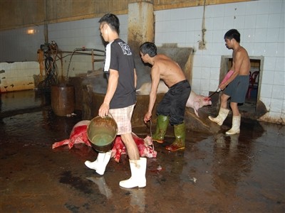 Lò mổ Thịnh Liệt trong đợt kiểm tra ngày 18 - 9 không đảm bảo vệ sinh