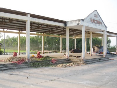 Chợ Bưng Tróp A ở xã An Hiệp (Châu Thành, Sóc Trăng), hoàn thành năm 2007 với trên 1 tỷ đồng, bỏ hoang đến nay Ảnh: Xuân Lương