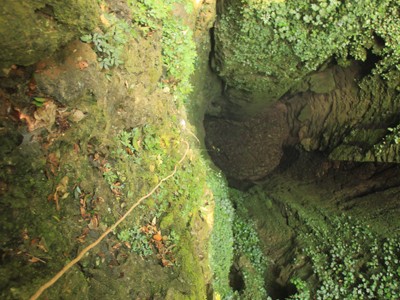 Một trong những hang động thẳng đứng vừa được phát hiện tại Phong Nha - Kẻ Bàng