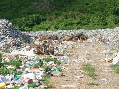 Côn Đảo ô nhiễm rác thải