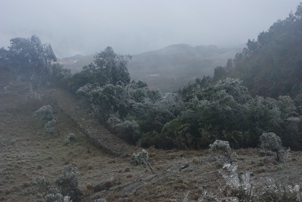 Băng tuyết lại xuất hiện trên Mẫu Sơn