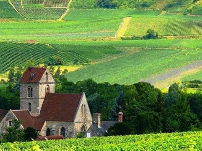 Nước Pháp đẹp như tranh mùa thu hoạch nho