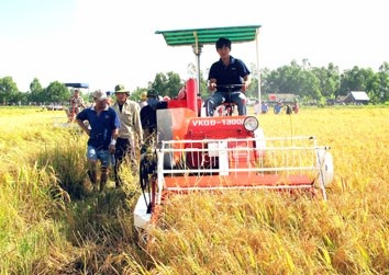 Ra đời liên minh sản xuất gạo thơm