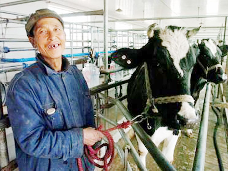 Nông dân Trung Quốc được Chính phủ hỗ trợ trực tiếp khi sản phẩm rớt giá. Ảnh: Từ internet