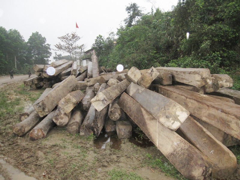 Số gỗ lực lượng chức năng thu hồi tại Hạt Kiểm lâm Hương Sơn