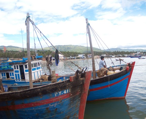 Đề nghị cấm tàu Trung Quốc tự do đi lại thu mua hải sản