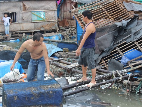 Quảng Ninh: Bão làm 4 người mất tích, thiệt hại 200 tỷ đồng