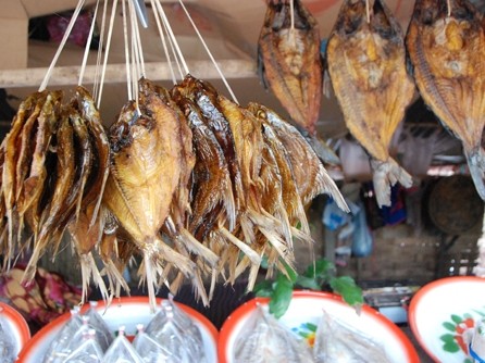 Chuyện Lào: Kỳ khôi đường cá Nậm Ngừm