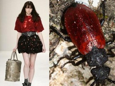 BST thời trang 'ngẫu hứng' từ côn trùng