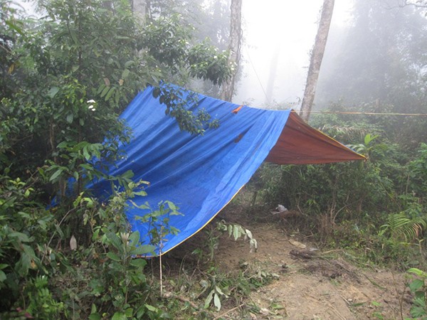 Một lán trại lâm tặc dựng sát đường độc đạo vào khu rừng bị phá