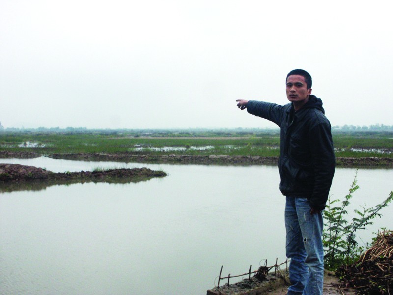 Đầm nuôi trồng của ông Lê Đình Thảo, sau 3 năm để không, đã được huyện Tiên Lãng cho người khác thuê