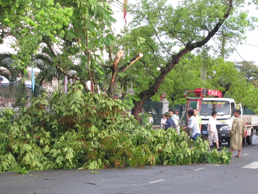 Công nhân Trung tâm Công viên Cây xanh Huế khẩn trương giải phóng cây cối gây ách tắc giao thông
