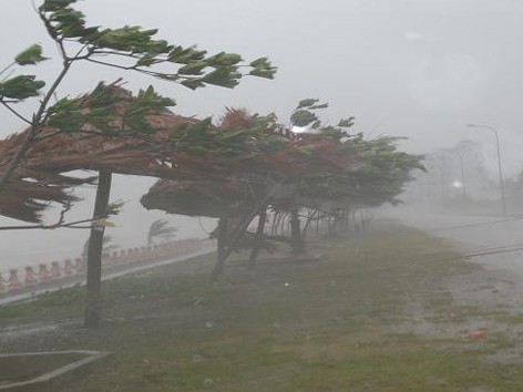 Từ Quảng Ninh đến Bình Định đối phó bão số sáu